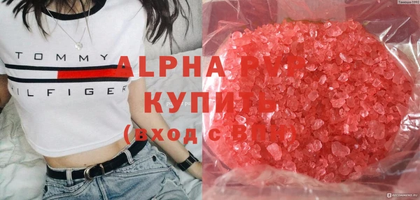 круглые Белокуриха