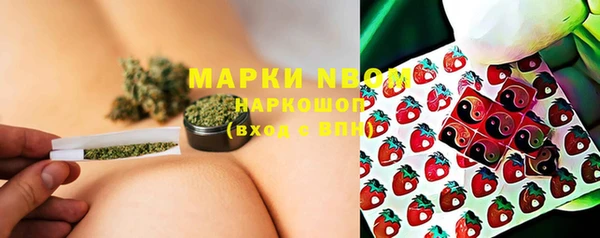 круглые Белокуриха