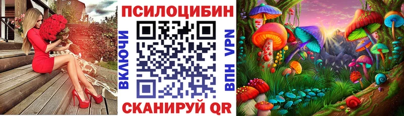 Галлюциногенные грибы Psilocybine cubensis  Кремёнки 